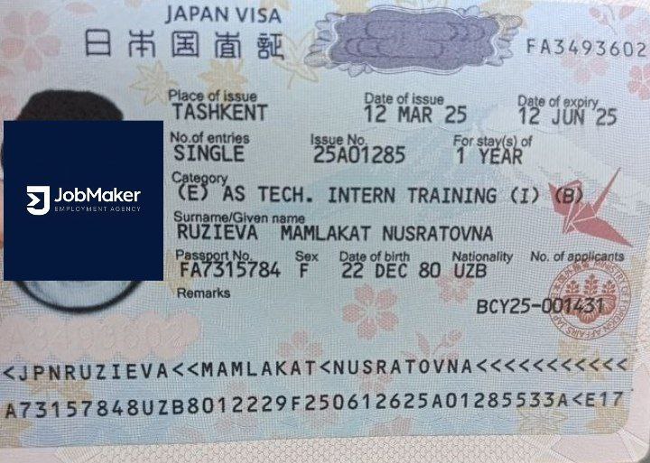 Визовый документ